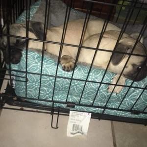 Meet your Posher, Marely